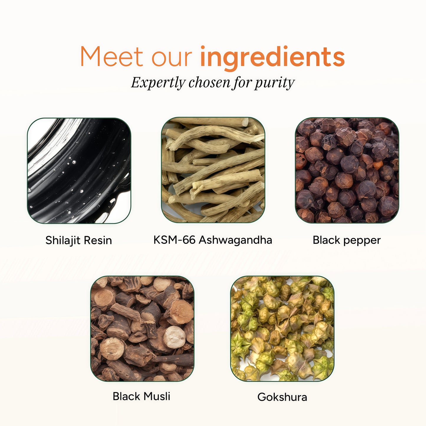 Root Labs Pure Himalayan Shilajit Gummies – 120 Count, Vegan & Sugar-Free Gummy Supplement with KSM-66 Ashwagandha, Gokshura, Ginseng & Black Musli – Energy, Vitality & Testosterone Support