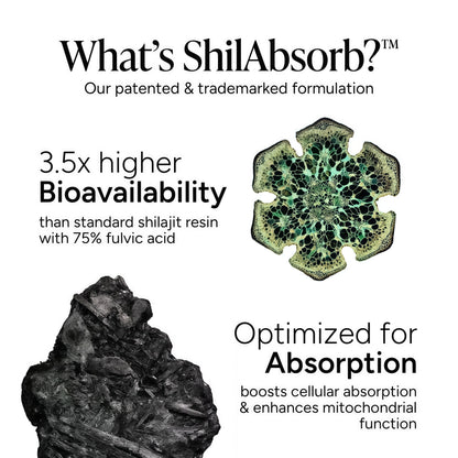 10-in-1 Alpha Shilajit Gummies | 4000 mg Pure Himalayan Shilajit, Tongkat Ali, Maca Root, 75% Fulvic Acid | ShilAbsorb Bioavailability Tech | Sugar-Free Vegan, 85+ Trace Minerals | 60 Pack